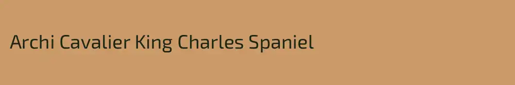 Archi Cavalier King Charles Spaniel